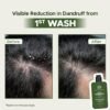 Mens Shampoo