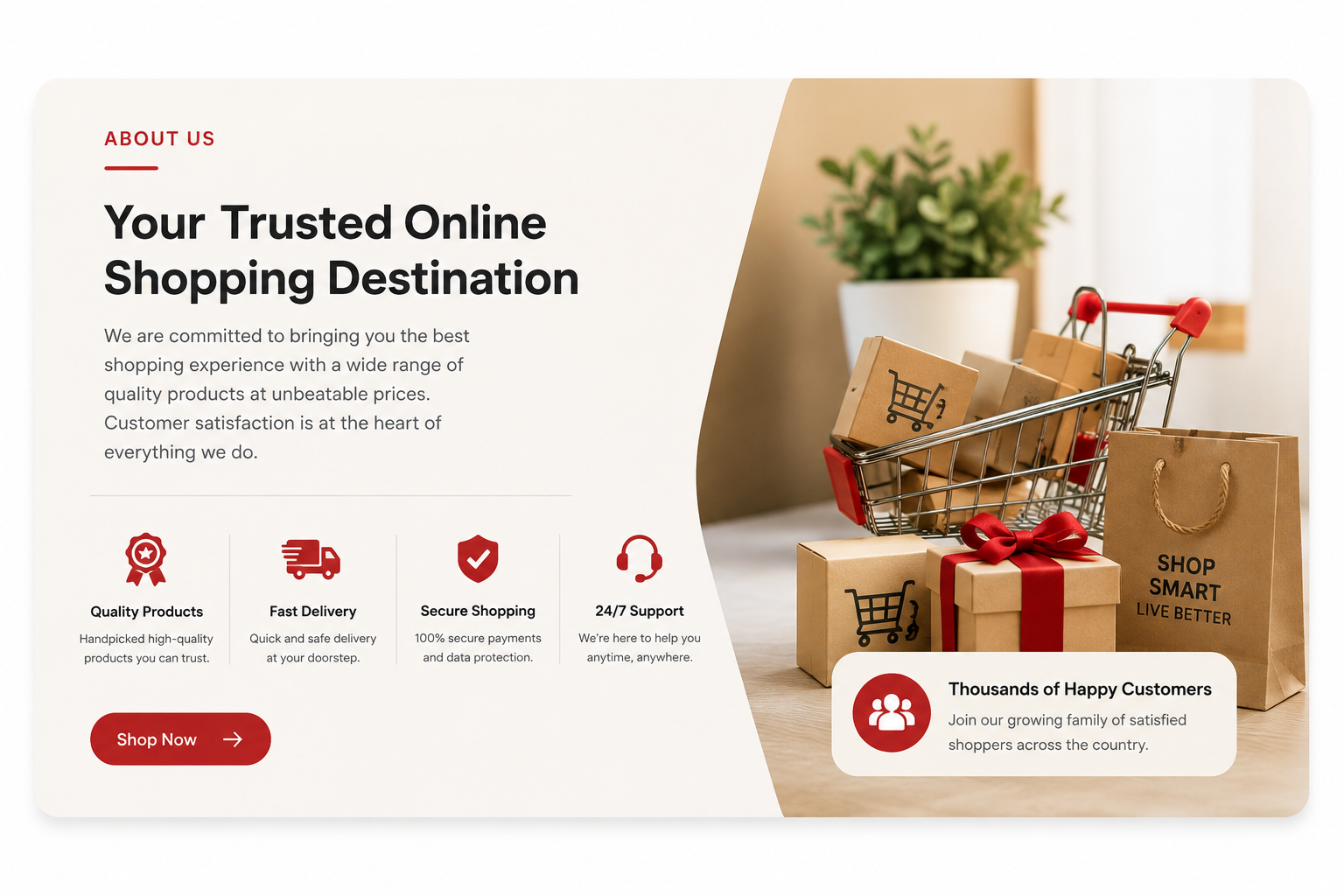 online shopping store